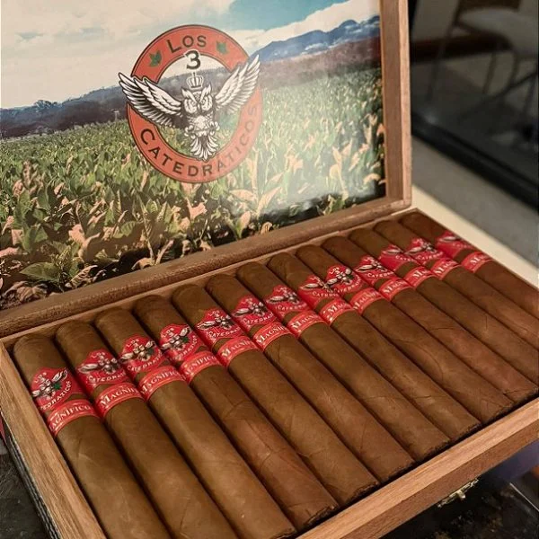Charuto Los 3 Catedraticos Gordo — nicaraguense