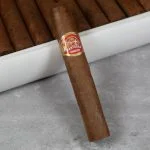 Charuto Partagas Shorts Petit Corona — cubano