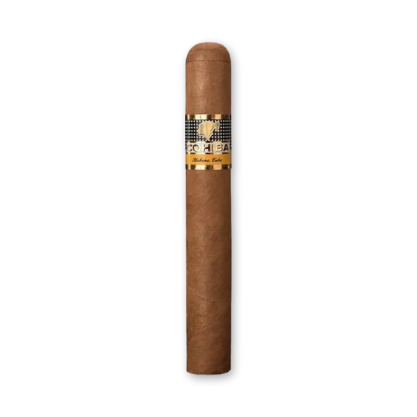 Charuto Cohiba Siglo VI – Unidade — Robusto (52x150mm), capa Habano (Vuelta Abajo, dupla. Foto 1 de 2: vista geral