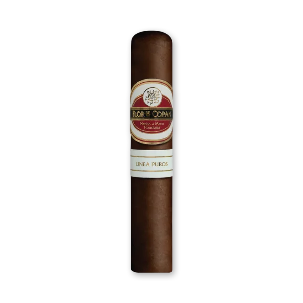 Charuto Flor de Copán Línea Puros Robusto de capa marrom escura com anilha vermelha e branca