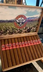 Charuto Los 3 Catedraticos Sublime Estupendo Toro com capa maduro — nicaraguense