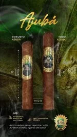 Charuto Grand Amazonia Robusto Ajubá com capa maduro — brasileiro
