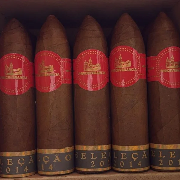 Charuto Perceverancia Carlos Pereda Petit Gordito com capa colorado — nicaraguense