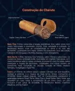 Charuto Alonso Menendez Robusto, vista secundária
