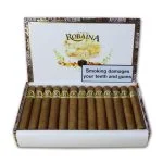 Charuto Vegas Robaina Famosos Corona, vista secundária — cubano