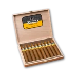 Caixa aberta Cohiba Pirámides Extra com dez charutos pontudos em fileira