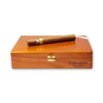 Charuto Cohiba Esplendidos deitado sobre caixa de madeira Habana Cuba