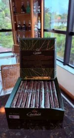 Charuto Toscano Cheroot, vista secundária — italiano