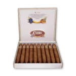 Cuaba Salomones Perfecto — detalhe da anilha dourada e do acabamento bipontudo