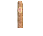 Charuto Quintero Petit Quintero Petit Corona — cubano
