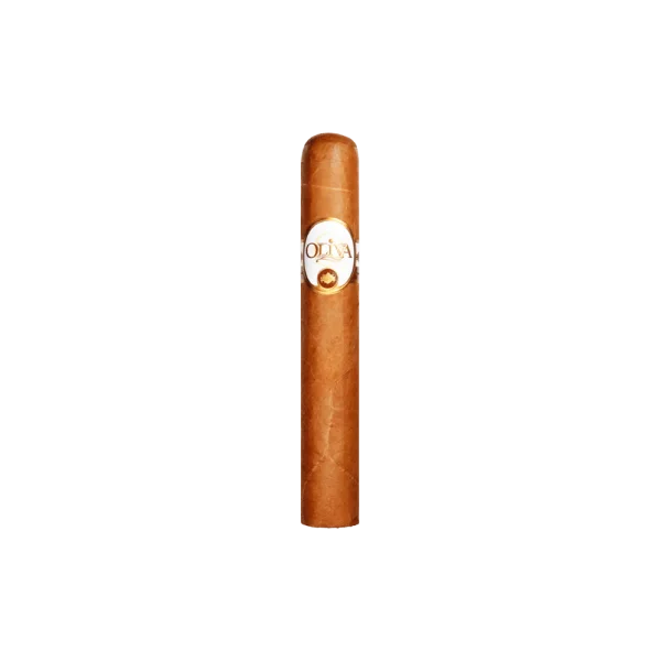 Charuto Oliva Gordo — nicaraguense
