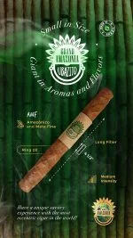 Charuto Grand Amazonia Ubazito Blend AMF Robusto com capa maduro, vista secundária — brasileiro