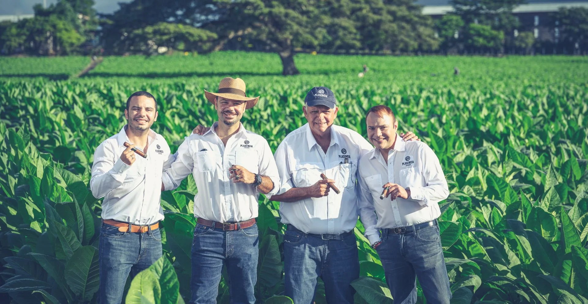 Mapa das quatro regiões de cultivo da Plasencia Cigars — Honduras, Nicarágua, México e República Dominicana