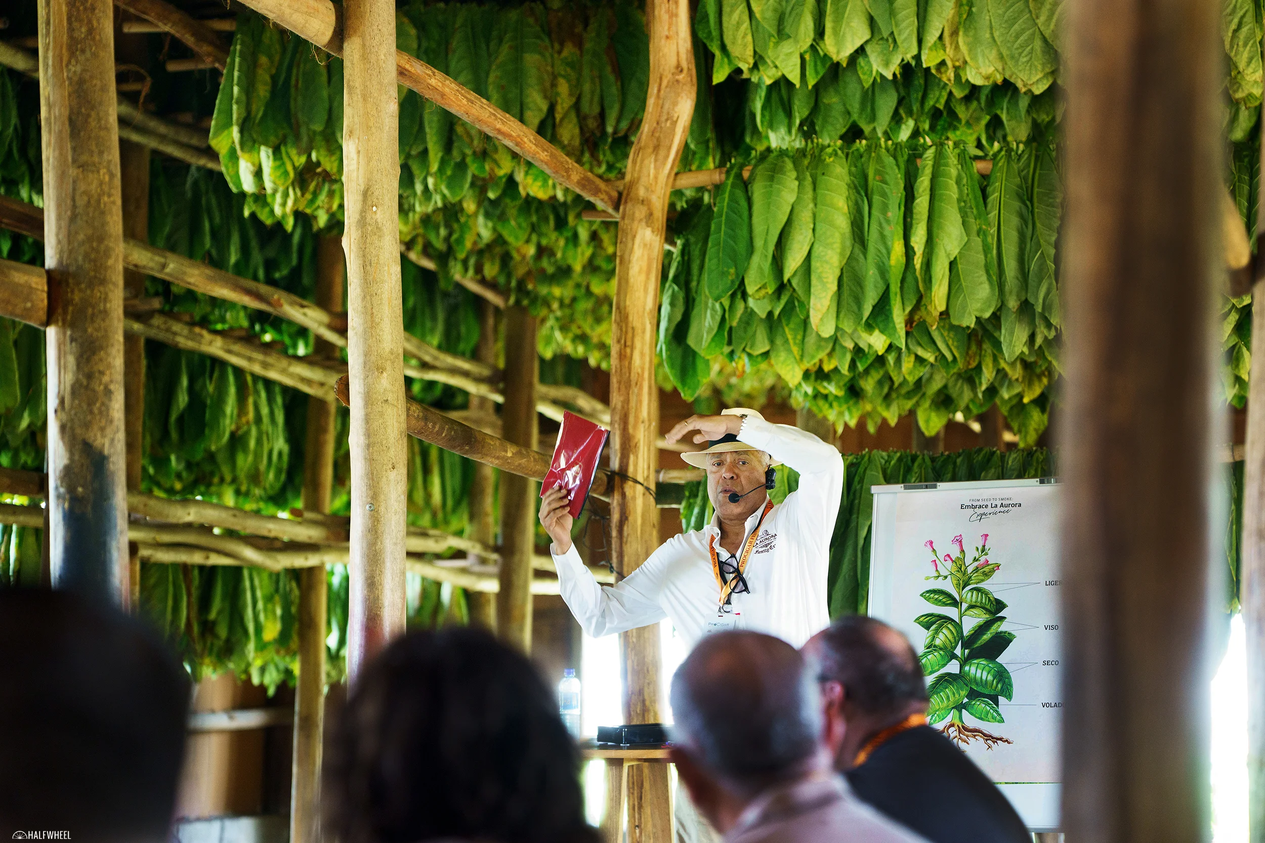 Plantação de tabaco com tecnologia de rastreamento GPS — terroir híbrido 2026