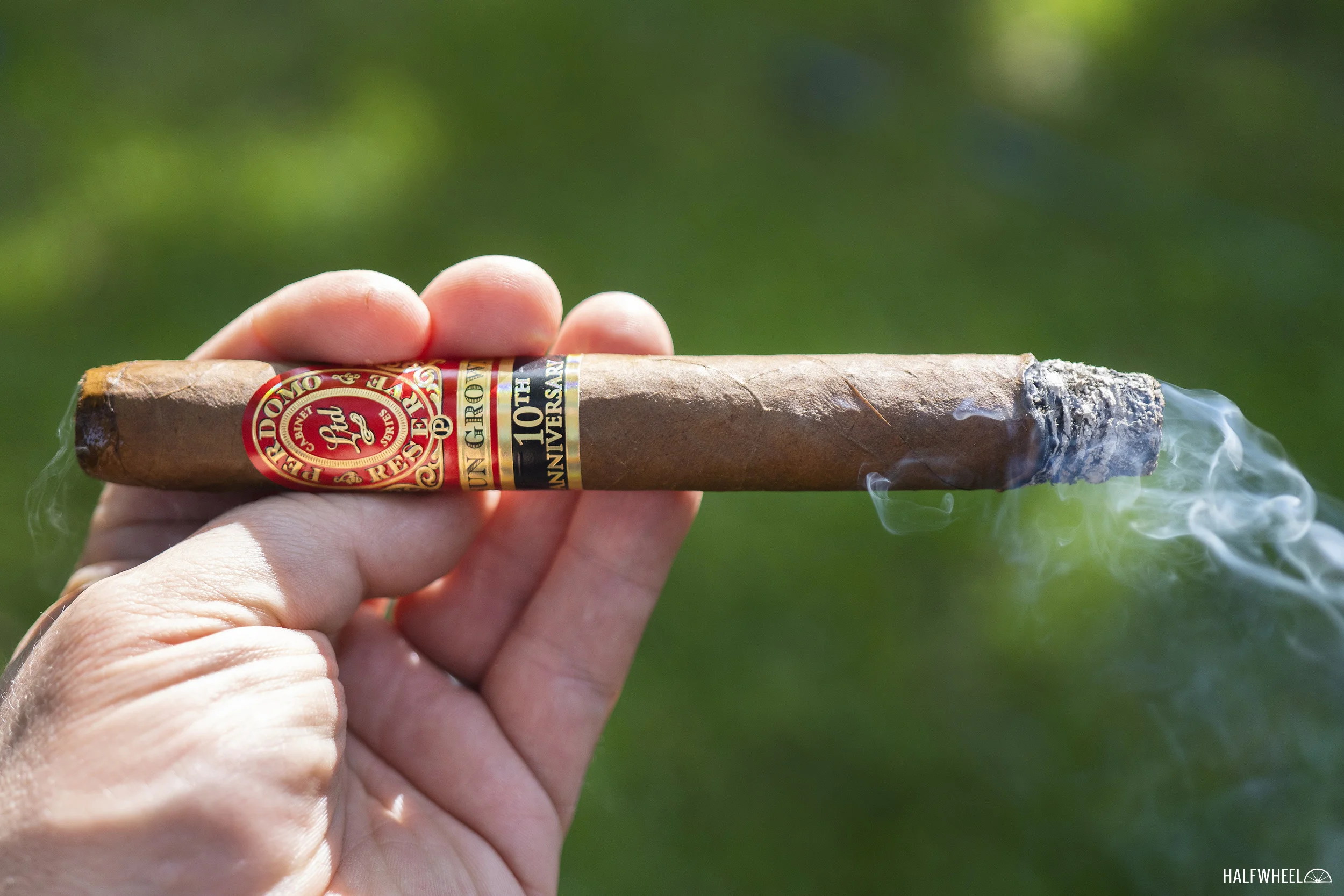 Charutos premium para iniciantes em exposição em humidor de loja especializada