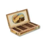 Charuto Dunbarton Tobacco & Trust Robusto — dominicano