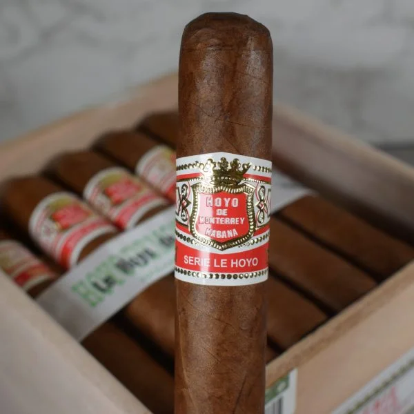 Charuto Hoyo de Monterrey Le Hoyo de Rio Seco Robusto — cubano