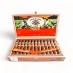 Charuto Joya de Nicaragua Robusto, detalhe de construção — nicaraguense