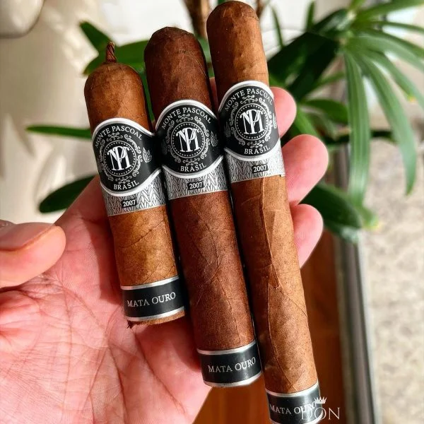 Charuto Monte Pascoal Mata Ouro Robusto — brasileiro