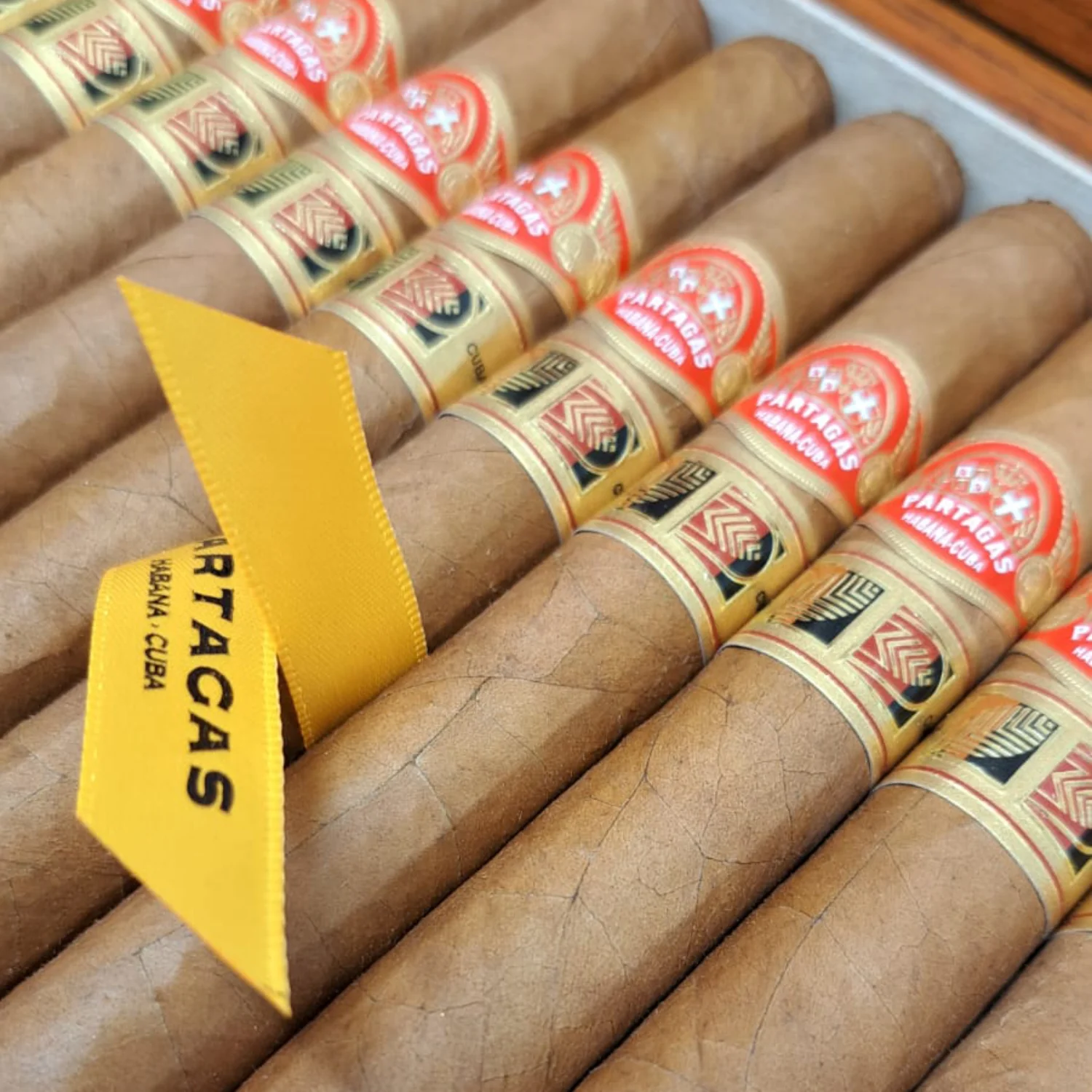Charuto Partagas Lonsdale com capa colorado maduro, detalhe de construção — cubano