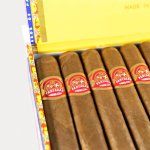 Charuto Partagas Petit Corona — cubano