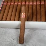 Charuto Partagas Petit Corona — cubano