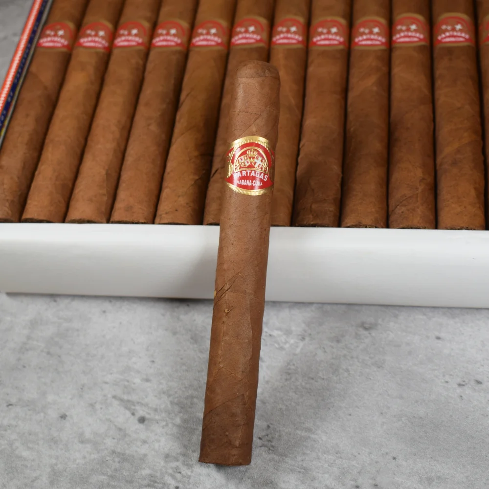 Charuto Partagas Petit Corona — cubano