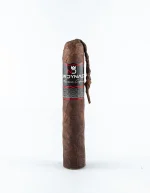 Charuto Perceverancia Robusto com capa maduro — nicaraguense