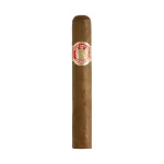 Charuto Saint Luis Rey Regios — cubano
