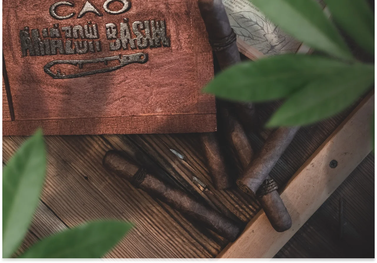 Folhas de tabaco equatoriano em processo de cura penduradas em galpão tradicional
